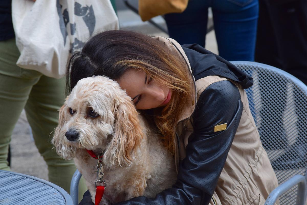 In order to be considered a legal emotional support animal, the presence of the animal must be deemed necessary by a licensed medical professional.