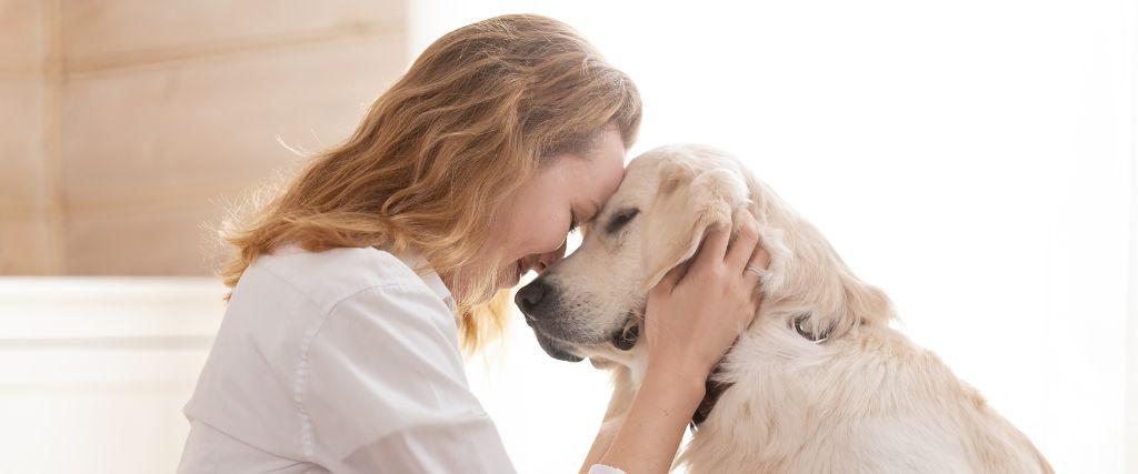 Tiny Chip, Big Protection: Why Microchipping Your Pet Matters Owner embracing her large white dog